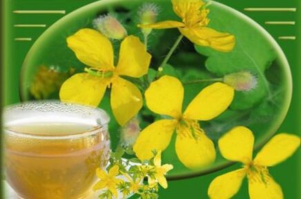 decoction of celandine grass from the fungus